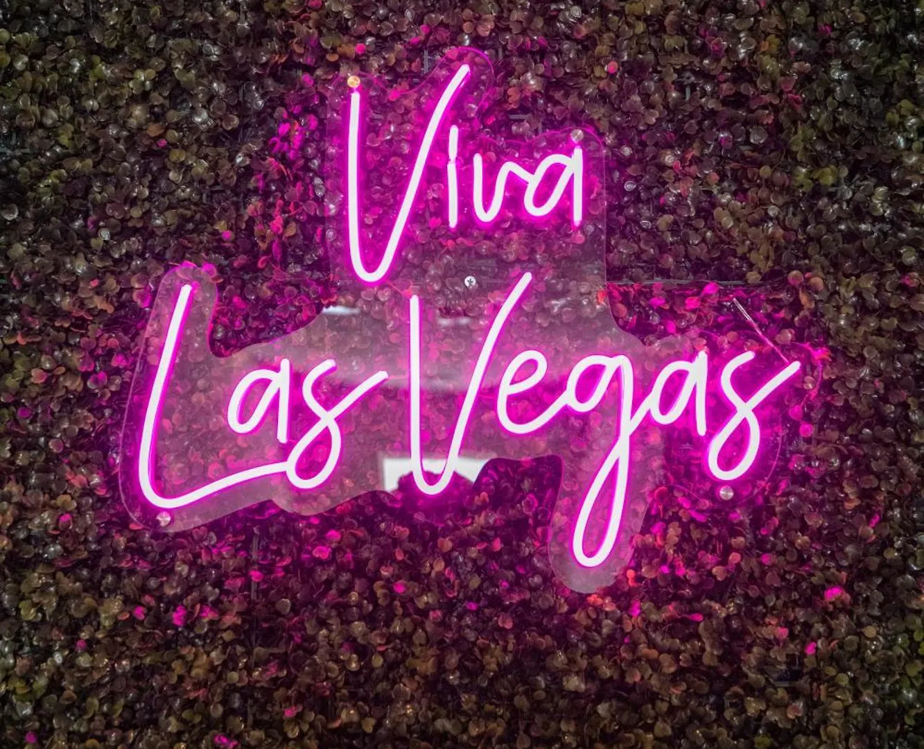Large 3Br King Suite Moments Away From Strip Las Vegas 0*,  United States